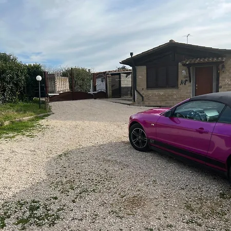 Villa Relax Private And Car Park Nemi Monte Porzio